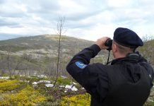 Granična policija u akciji: Uhapšeno 14 osoba po potjernicama Interpola, sudova i policije