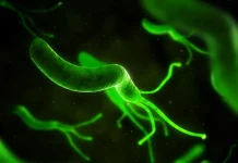 Vapaj ljekara: Milioni ljudi, rođenih između 2008. i 2017. godine, mogli bi umrijeti zbog uobičajene bakterije