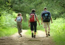 Šest razloga zašto biste jutro trebali započeti šetnjom