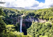 Amazonija nestaje: Za 40 godina izgubljena površina veća od Španije