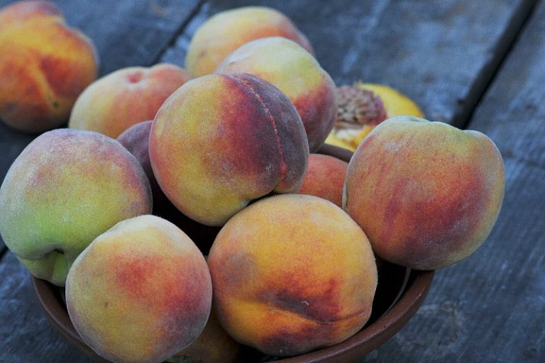 Na tržištu BiH evidentiran opasan pesticid u breskvama iz Albanije