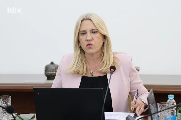 Cvijanović se nakon odluke Ustavnog suda vratila na X i poslala poruku: “Putovanje ka pravdi je počelo”