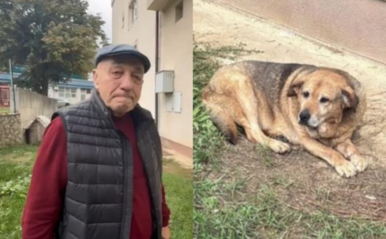 Halidov prijatelj i vozač: “Nakon vijesti o smrti, njegov pas ne jede i ne pije”