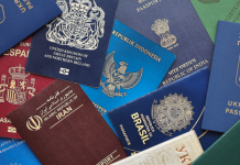 Zašto pasoši dolaze samo u četiri boje i šta svaka znači