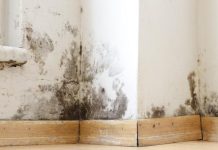 Zimska opasnost u kući: Ljekari upozoravaju na posljedice vlage i plijesni