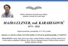 Žena koju je ubilo drvo na Grbavici je Majda Elzner